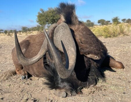 wta_2373_PHOTO-2023-08-11-09-59-07