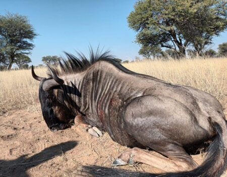 wta_2373_PHOTO-2023-08-11-09-59-11