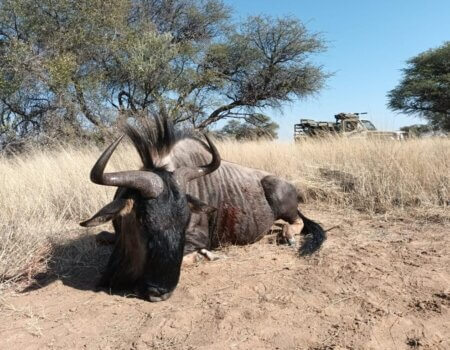 wta_2373_PHOTO-2023-08-11-09-59-14