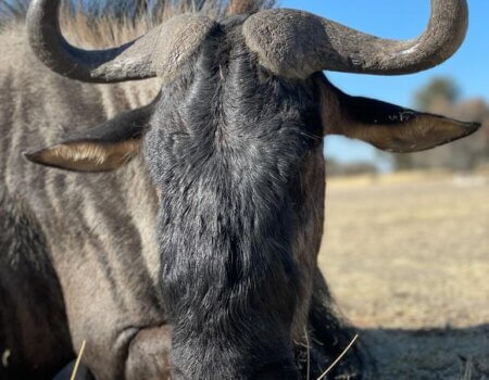 wta_2373_PHOTO-2023-08-11-10-01-36