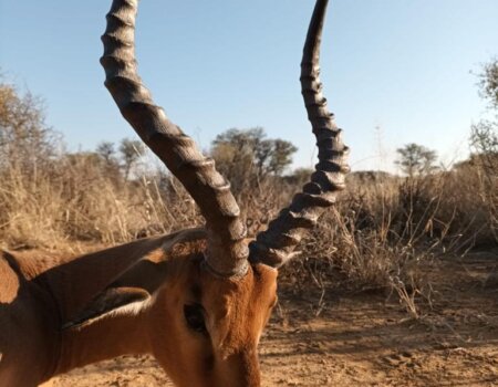 wta_2373_PHOTO-2023-08-11-10-04-21 2