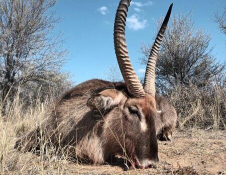 wta_2373_PHOTO-2023-08-11-10-04-21