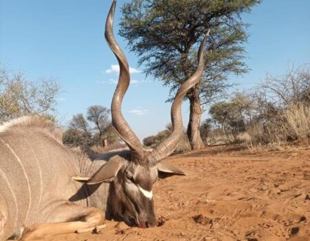 wta_2373_PHOTO-2023-08-11-10-04-22