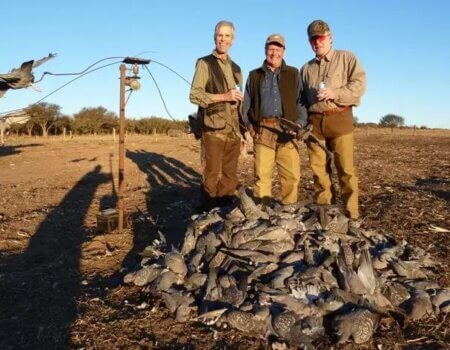 wta_2375_Paloma Grande