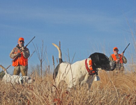 wta_2378_Two men with two dogs on point