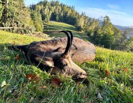 wta_2380_WhatsApp Image 2023-10-25 at 15.30.29 (1)