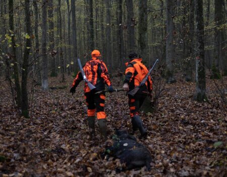 wta_2381_WhatsApp Image 2023-10-31 at 15.46.25 (11)