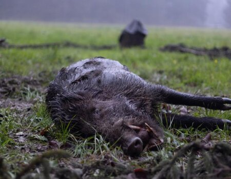 wta_2381_WhatsApp Image 2023-10-31 at 15.46.25 (14)