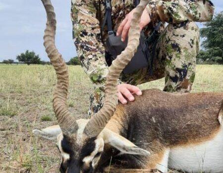 wta_2384_0485c6fe-4b17-4f1a-a161-48e90a90c143