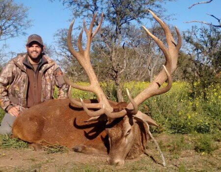 wta_2384_carrizal free r 2