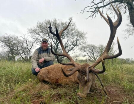wta_2384_free-range-red-stag-hunting-la-pampa-image-6-1024x768