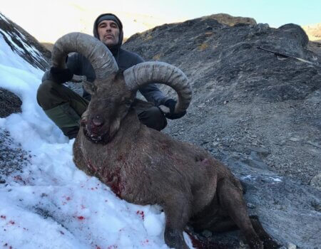 wta_2388_WhatsApp Image 2023-11-15 at 14.43.25