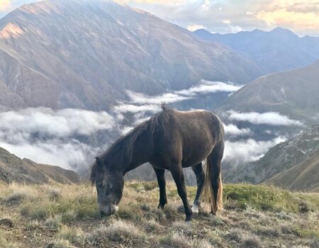 wta_2388_WhatsApp Image 2023-11-15 at 14.43.32