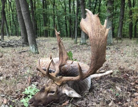 wta_2396_0c7fe1ce-2206-4e9c-9dcf-79a488c2d7ec