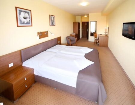 wta_2396_1000x667-izba-standard-1-hotel-hviezda-700x467