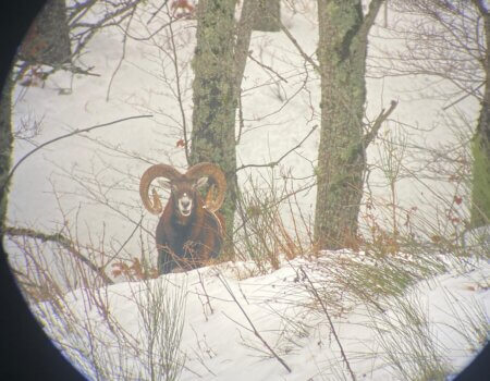 wta_2396_3e76624a-63ac-4f2e-92eb-418eaa372762