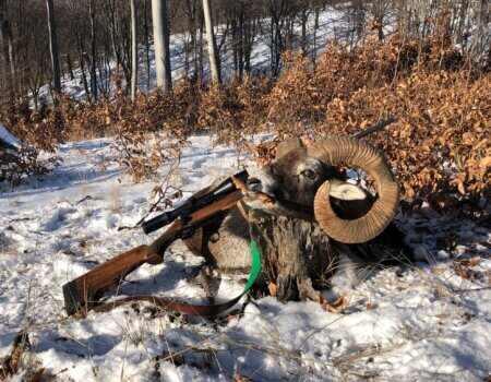 wta_2396_4b4b5e2d-f05d-410b-92e3-d78ad3522556