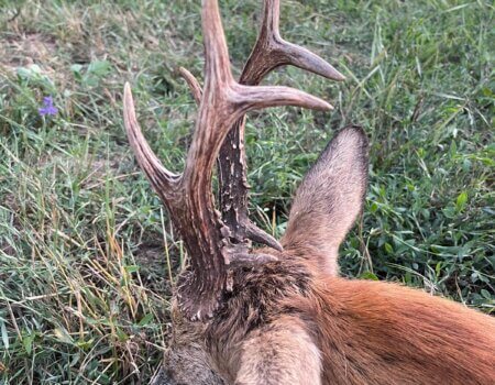 wta_2396_4e341b31-e432-4243-b96d-cee6c02e7893