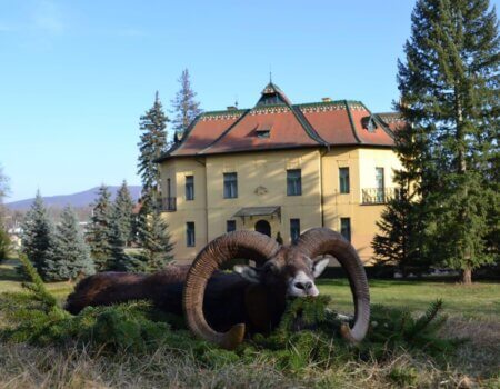 wta_2396_4fc6bfe5-cdba-4cae-98ae-b496c1b699d3