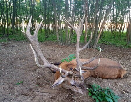 wta_2396_52ab5b29-cb02-4a8a-aca7-103e808c5b3e