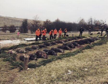 wta_2396_758d024d-6682-4c54-94f9-e7600f9266ab