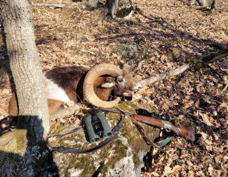 wta_2396_8afe3982-e800-4b6d-a1b2-0fddb30d93a3