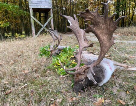 wta_2396_bcd48647-a677-409f-9d19-d7873356c13e