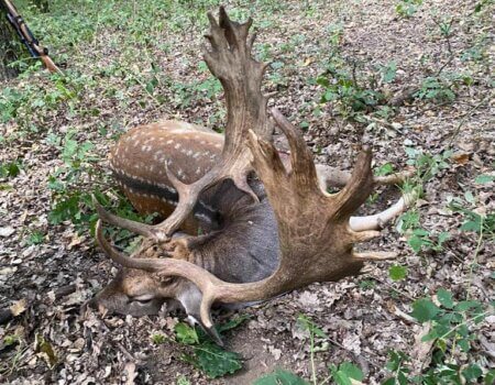 wta_2396_f449a6f7-e985-4d1f-8d6e-5ec21d938023