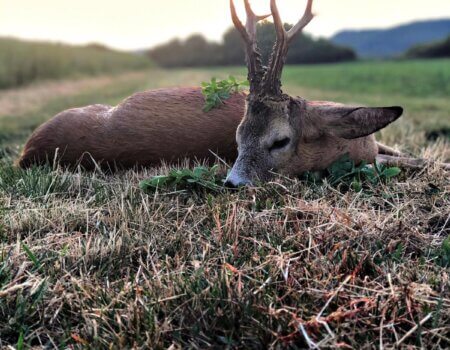 wta_2396_f9dace8d-3732-46d5-b25d-c731129e6235