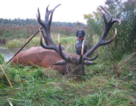 wta_2397_1980-01-01 00.04.55