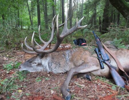 wta_2397_Bjelowesh 2019 062