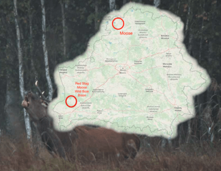 wta_2397_Screenshot 2023-12-14 at 21.24.08