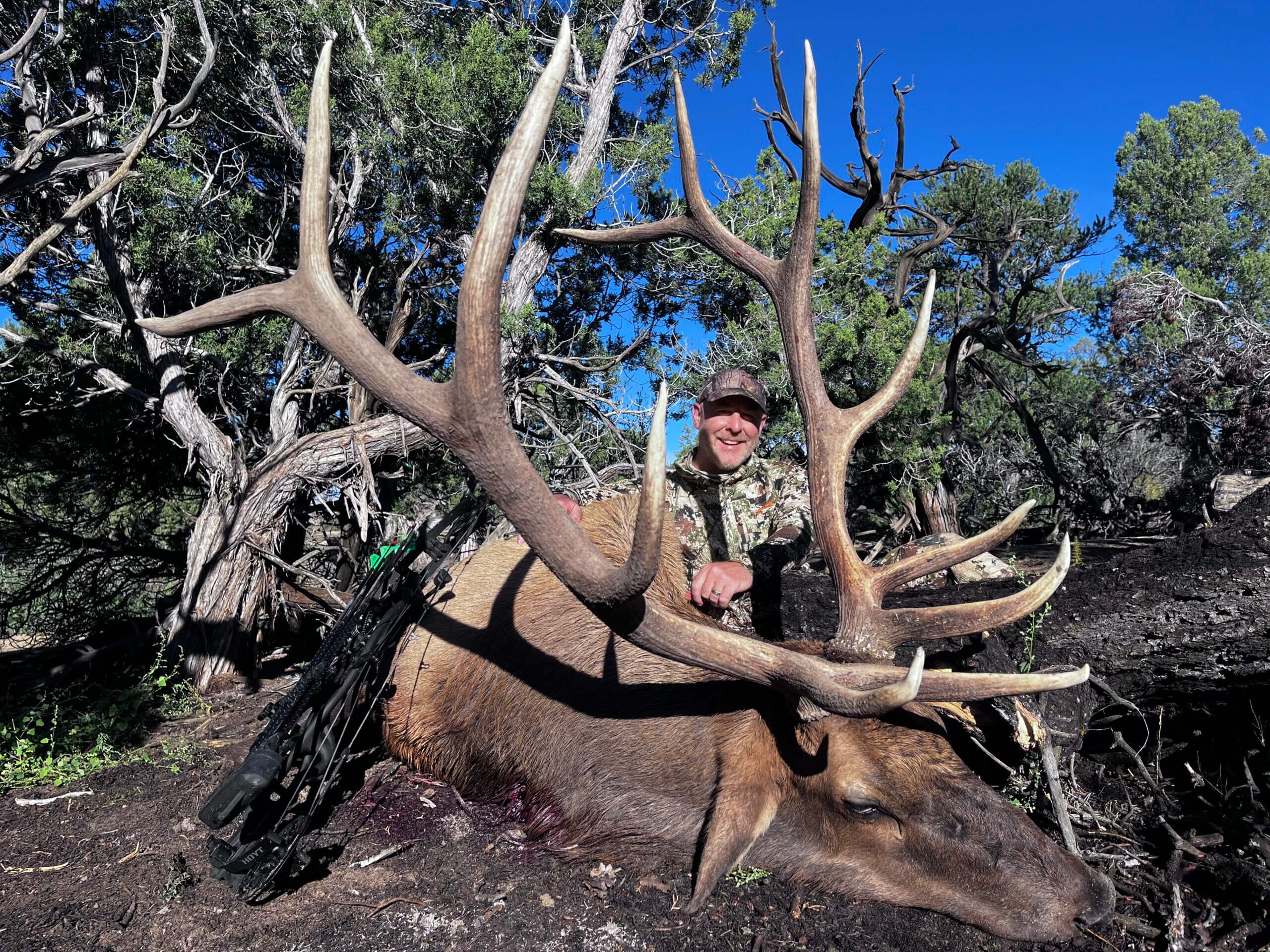 draw-top-tier-limited-entry-elk-licenses-with-wta-tags-worldwide