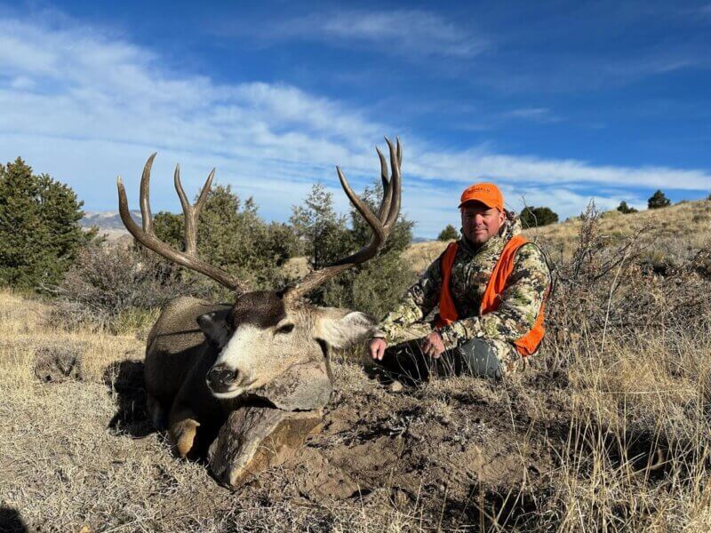 Rifle mule deer hunting Colorado