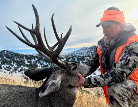 Rifle mule deer hunting Colorado