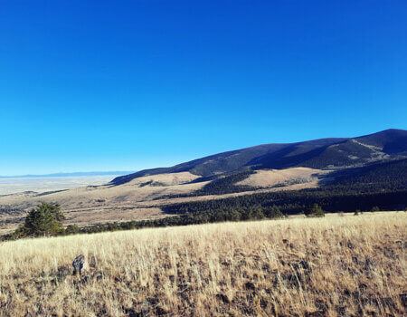 wta_2408_Mule-deer-colorado-unit-80