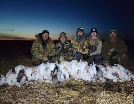 wta_2410_Snow goose 1