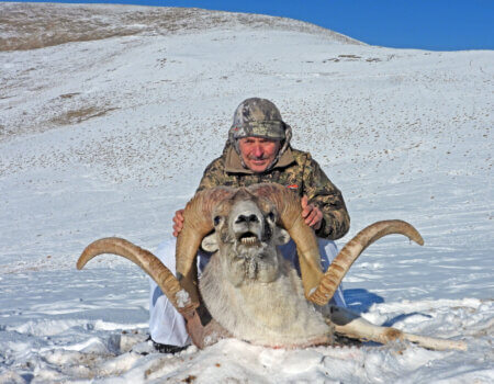 wta_2412_Argali Albert-1