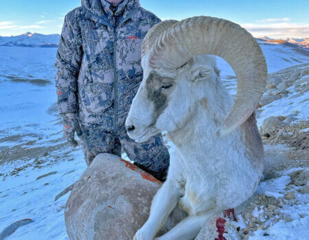 wta_2412_Mazur Brookei