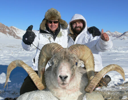 wta_2412_Полоса 10 фото