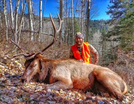 Southern Colorado Drop Camp Elk Hunt