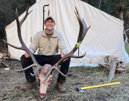 Southern Colorado Drop Camp Elk Hunt