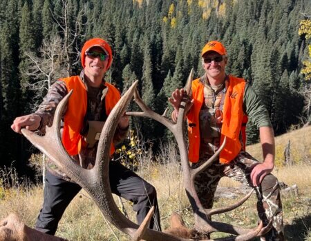 Southern Colorado Drop Camp Elk Hunt