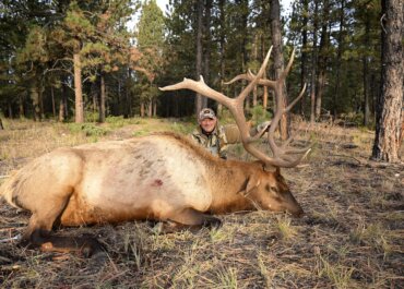 The Ultimate Elk Hunt and More: Why Montana Should Be on Your Radar
