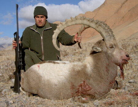 wta_2419_Ibex Kyrgyzstan 5