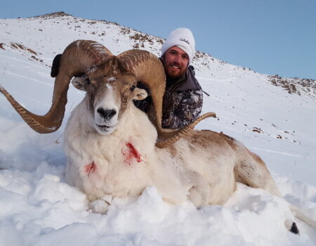 wta_2420_20151124_174409_001