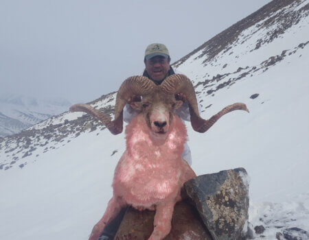 wta_2420_Tian Shan (1)