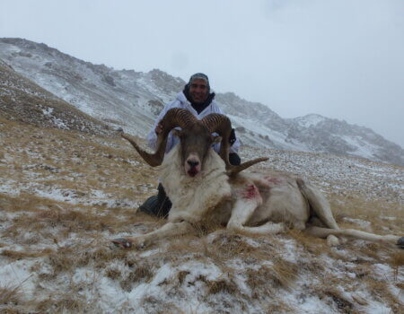 wta_2420_Tian Shan (2)