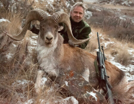 wta_2420_Полоса 11 фото-2