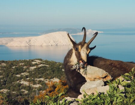 wta_2424_Exclusive combihunt2